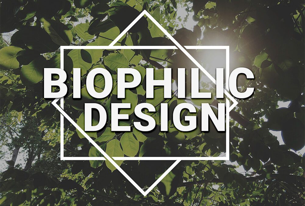 Biophilic design: Jak przyroda może inspirować twoje projekty graficzne?