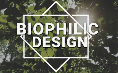 Biophilic design: Jak przyroda może inspirować twoje projekty graficzne?